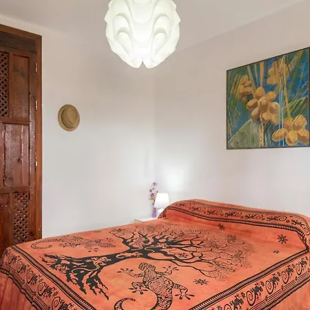 Casa Geko