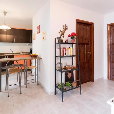 Casa Geko